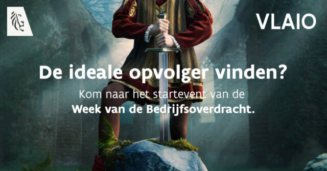 VLAIO website wide