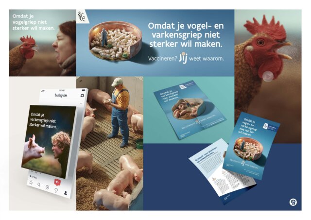 Vaccinatiecampagne naar pluimvee en varkenshouders case v4